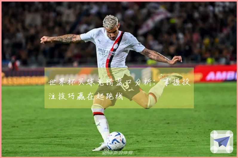 世界杯买球竞猜盘口分析：掌握投注技巧赢在起跑线
