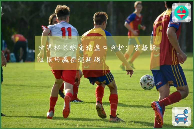 世界杯买球竞猜盘口分析：掌握投注技巧赢在起跑线