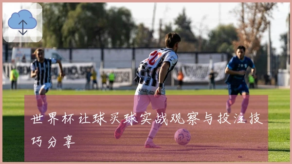 世界杯让球买球实战观察与投注技巧分享