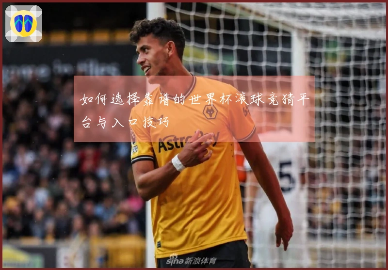 如何选择靠谱的世界杯滚球竞猜平台与入口技巧