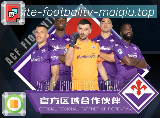 奖项证书